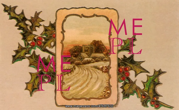  : Rural Scene over Holly