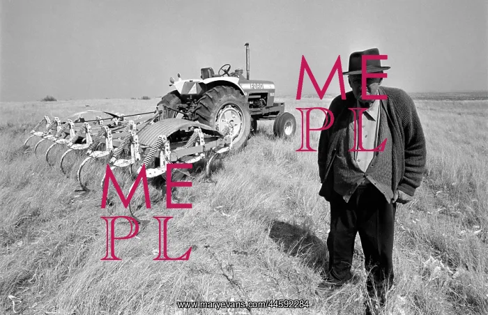 : Rural scene - an old white farmer with his tractor : Rural scene - an old white farmer with his tractor