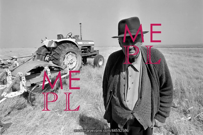 : Rural scene - old white farmer with his tractor : Rural scene - old white farmer with his tractor