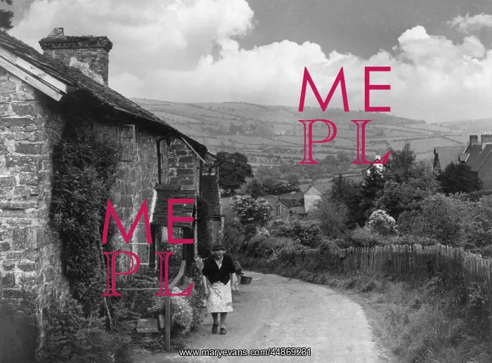 : RURAL SCENE / RADNORSHIRE : RURAL SCENE / RADNORSHIRE