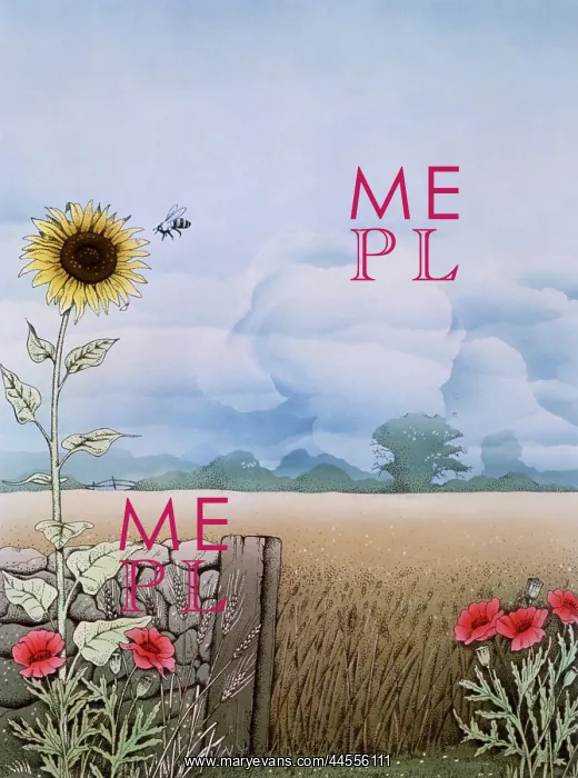 : Rural scene with sunflower and poppies : Rural scene with sunflower and poppies
