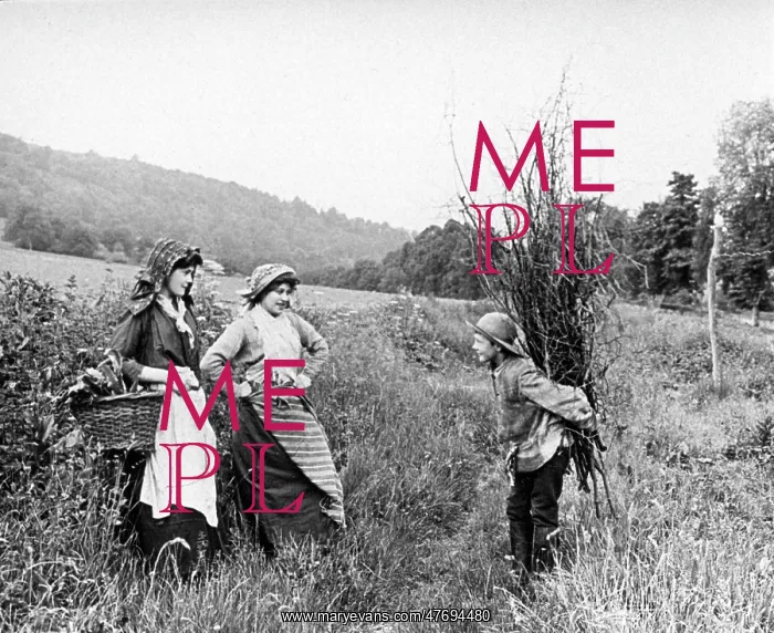 : Rural types : Rural types