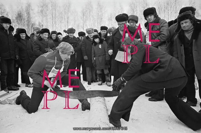 : Rural winter festivities : Rural winter festivities
