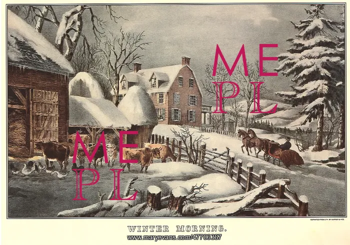  : Rural Winter Morning