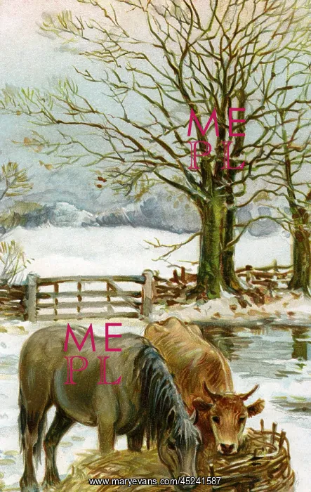 : Rural winter scene : Rural winter scene