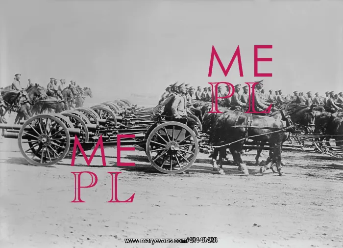  : Russian artillery