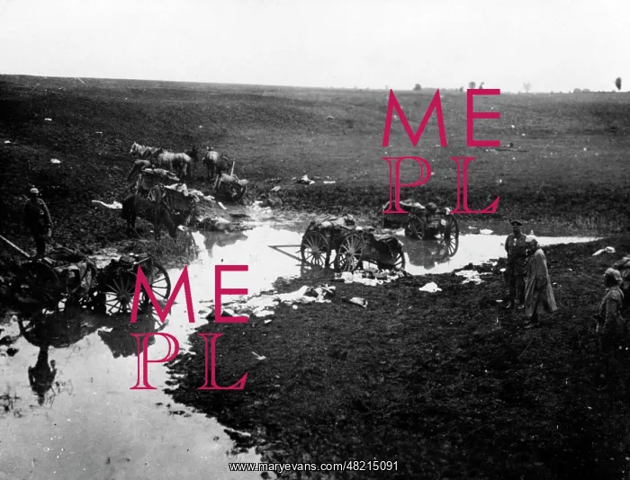 : Russian carts stuck in the marsh, 1914 : Russian carts stuck in the marsh, 1914