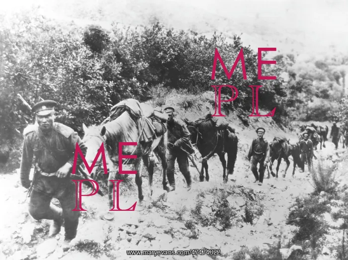 : Russian Cavalry Reconnaissance, 1904 : Russian Cavalry Reconnaissance, 1904
