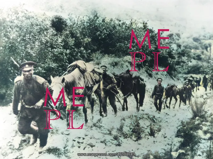 : Russian Cavalry Reconnaissance, 1904 : Russian Cavalry Reconnaissance, 1904