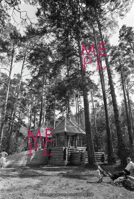: Russian Foresters recreational forest : Russian Foresters recreational forest