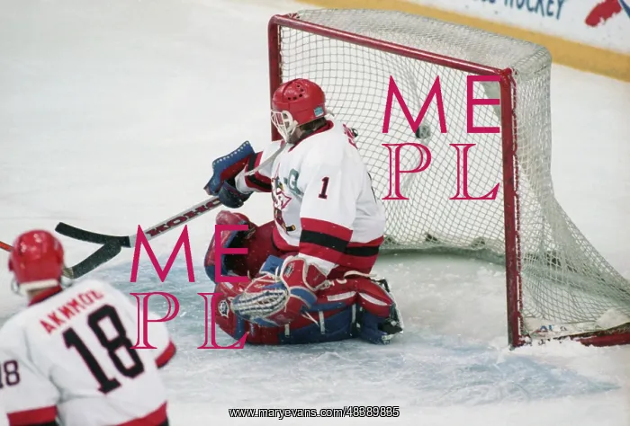 : Russian hockey championship : Russian hockey championship