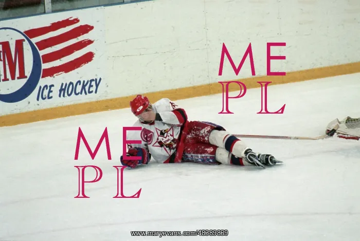 : Russian hockey championship : Russian hockey championship