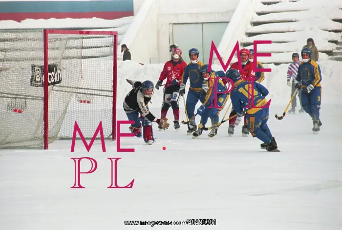 : Russian hockey championship : Russian hockey championship