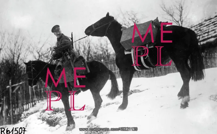 : Russian officer's striker in the First World War : Russian officer's striker in the First World War