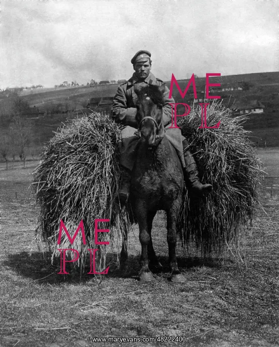 : Russian picket on horseback, 1915 : Russian picket on horseback, 1915
