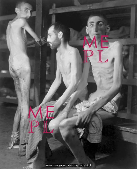 : Russian, Polish, and Dutch slave laborers at Buchenwald : Russian, Polish, and Dutch slave laborers at Buchenwald