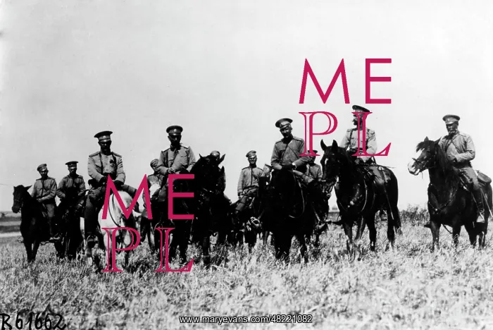 : Russian regimental cadre in the First World War : Russian regimental cadre in the First World War