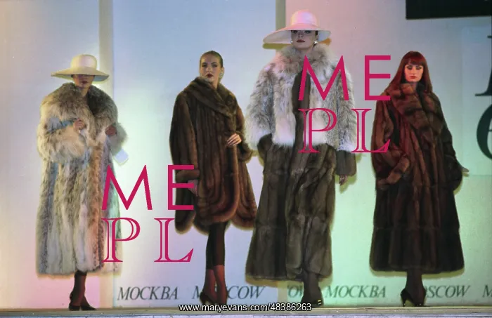  : Russian school of models