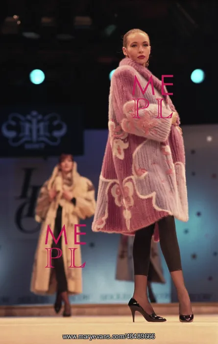  : Russian school of models