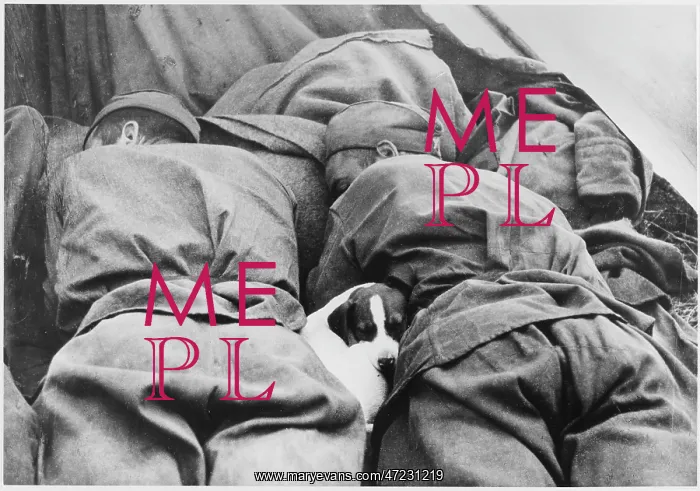  : RUSSIAN SOLDIER AND DOG