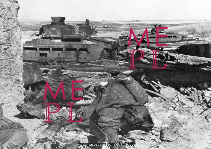 : Russian tanks destroyed in the Kharkov area, 1943 : Russian tanks destroyed in the Kharkov area, 1943