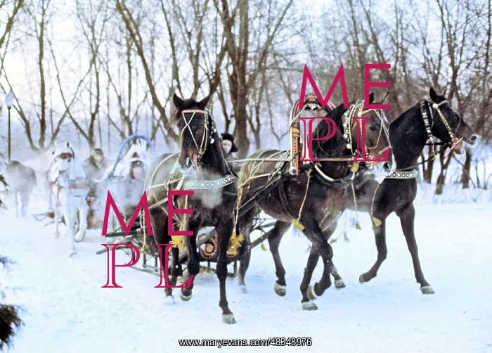: Russian troikas, 1973 : Russian troikas, 1973
