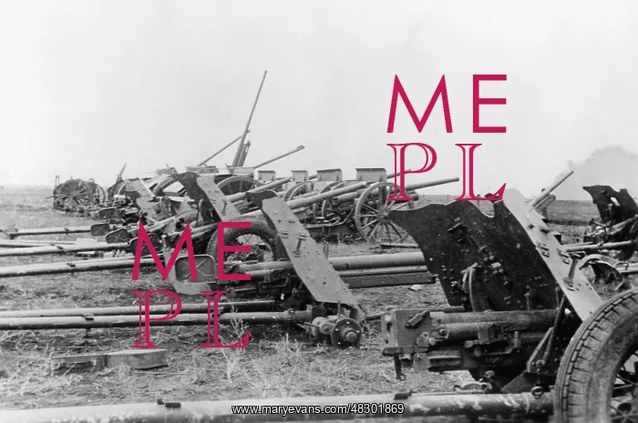  : Russian war material in the Crimea, 1941