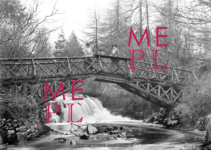 : Rustic Bridge, Glenariff : Rustic Bridge, Glenariff
