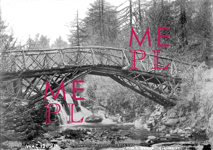 : Rustic Bridge, Glenariff : Rustic Bridge, Glenariff