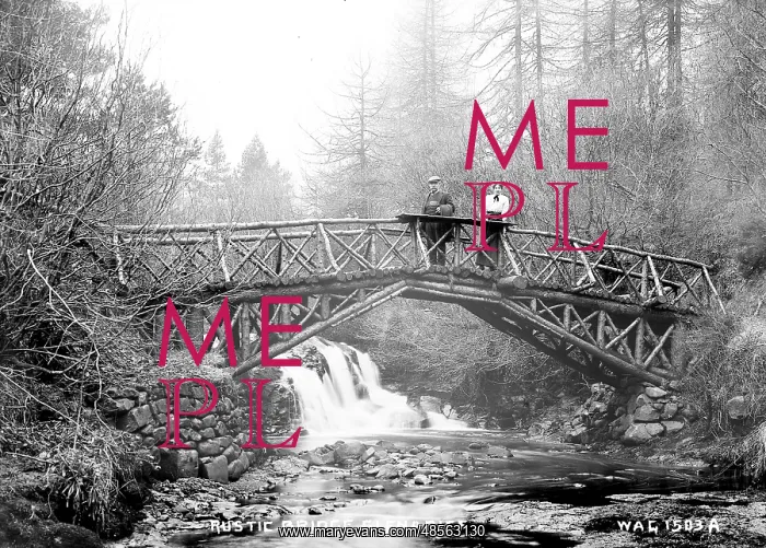 : Rustic Bridge, Glenariff : Rustic Bridge, Glenariff