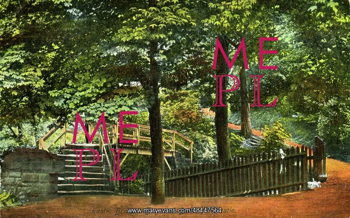 : Rustic Bridge, Jesmond Dene, County Durham : Rustic Bridge, Jesmond Dene, County Durham
