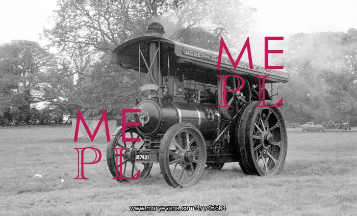 : Ruston Proctor General Purpose Engine Tulip Queen BE 7421 : Ruston Proctor General Purpose Engine Tulip Queen BE 7421