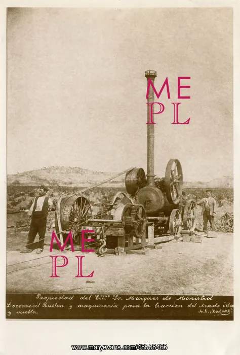 : Ruston steam engine, vineyard in Penedes, Catalonia, Spain : Ruston steam engine, vineyard in Penedes, Catalonia, Spain