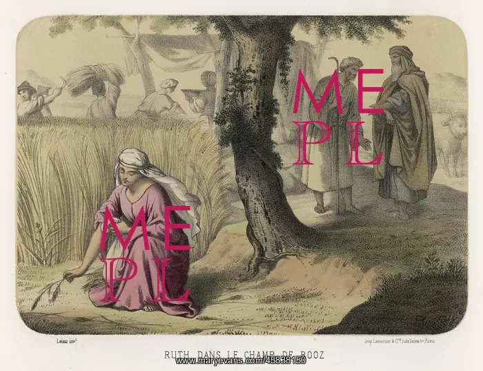 : RUTH GLEANING : RUTH GLEANING