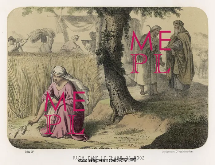 : RUTH GLEANING : RUTH GLEANING