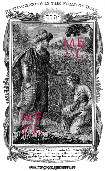  : Ruth, Moabite widow, gleaning amongst the corn