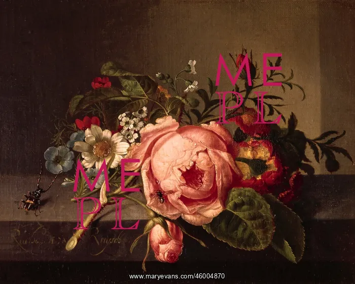 : Ruysch, Rachel, (1664 - : Ruysch, Rachel, (1664 -