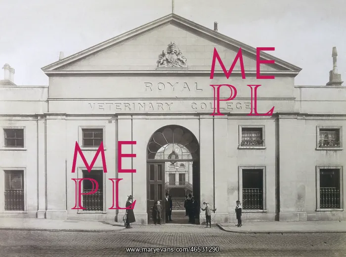  : RVC / ENTRANCE 1891