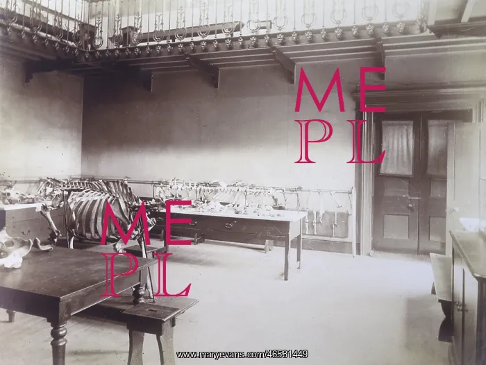 : RVC / STUDENTS MUSEUM : RVC / STUDENTS MUSEUM
