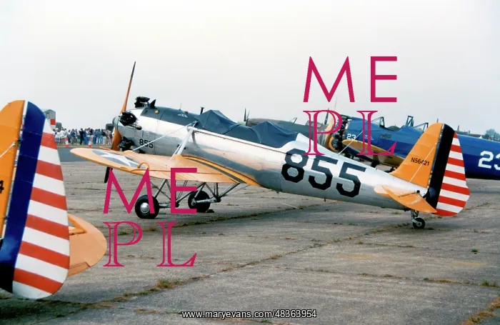 : Ryan PT-22C Recruit N56421 : Ryan PT-22C Recruit N56421