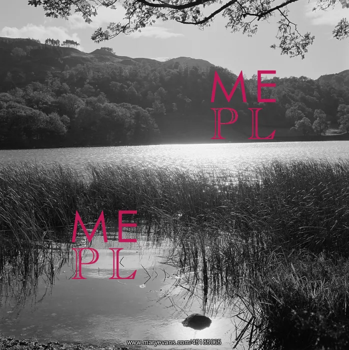 : Rydal Water, Cumbria : Rydal Water, Cumbria