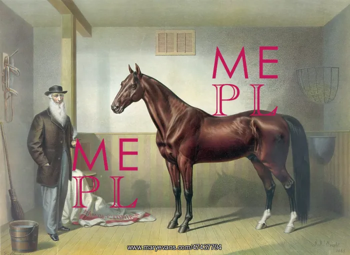  : Rysdyk's Hambletonian