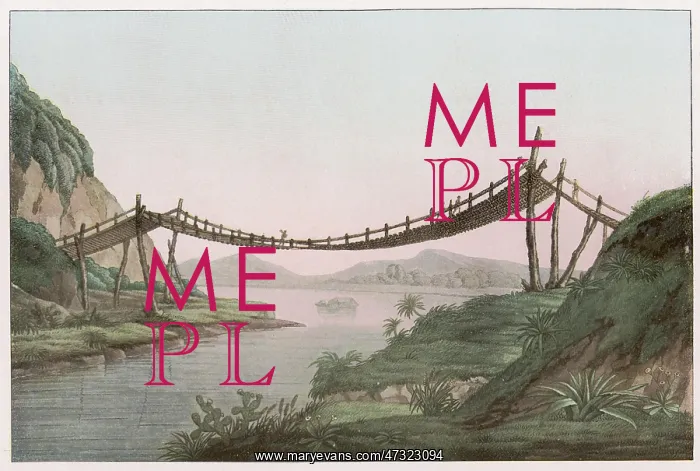 : S American Rope Bridge : S American Rope Bridge