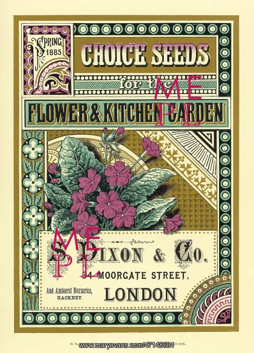 : S Dixon - Co seed catalogue : S Dixon - Co seed catalogue