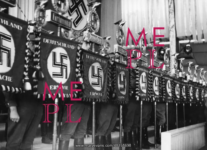 : SA standard bearer in the Luitpoldhalle at : SA standard bearer in the Luitpoldhalle at