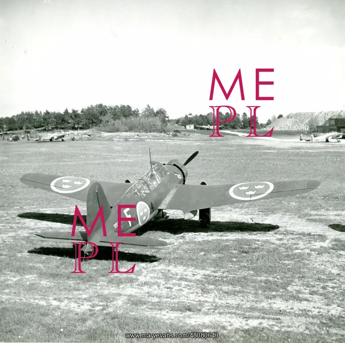  : Saab B17