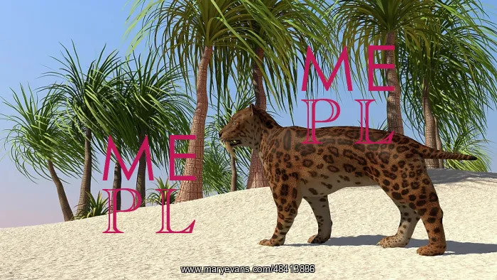 : A Saber-Tooth Tiger in a tropical environment : A Saber-Tooth Tiger in a tropical environment