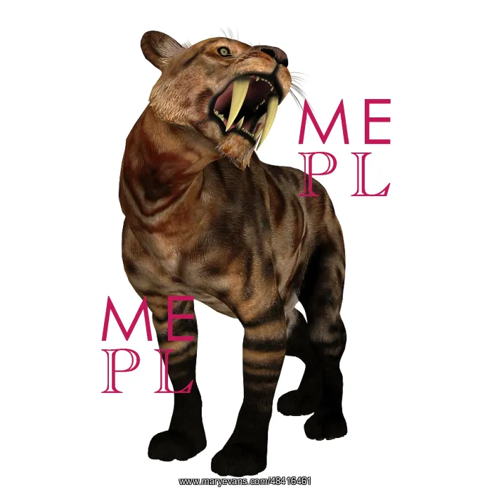 : A saber-toothed cat on white background : A saber-toothed cat on white background