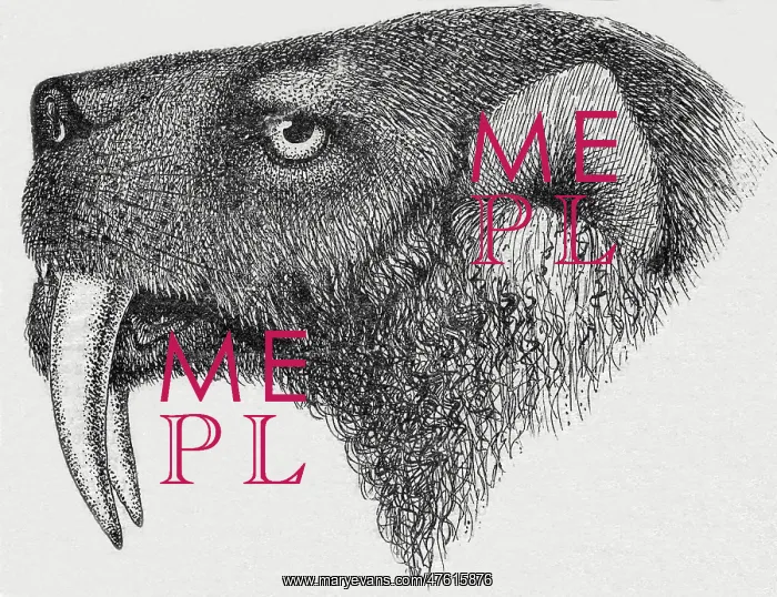 : Saber-toothed Tiger : Saber-toothed Tiger