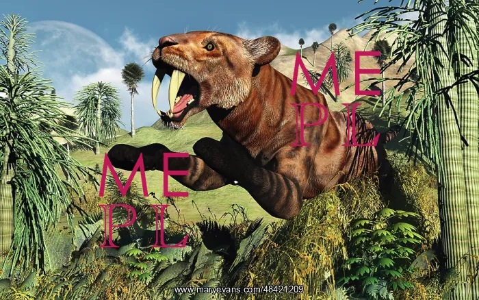 : A Sabre Tooth Tiger springs its trap as it leaps out at any : A Sabre Tooth Tiger springs its trap as it leaps out at any